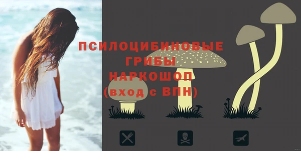 МДПВ Иннополис