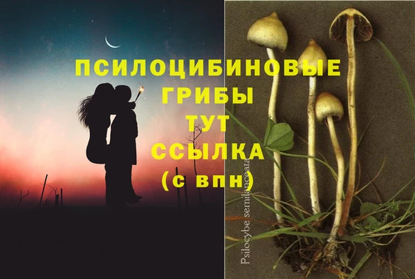 МДПВ Иннополис