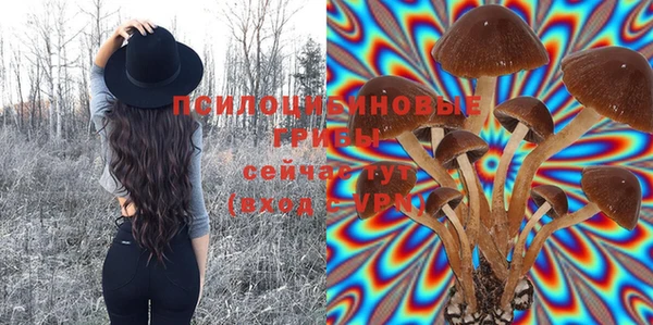 амф Инсар