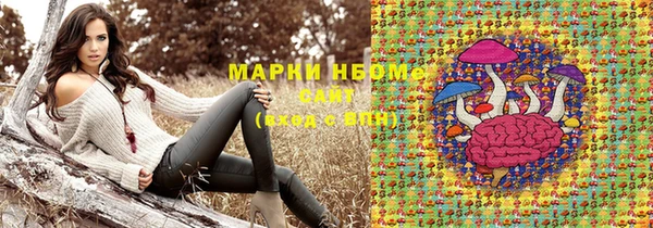 амф Инсар